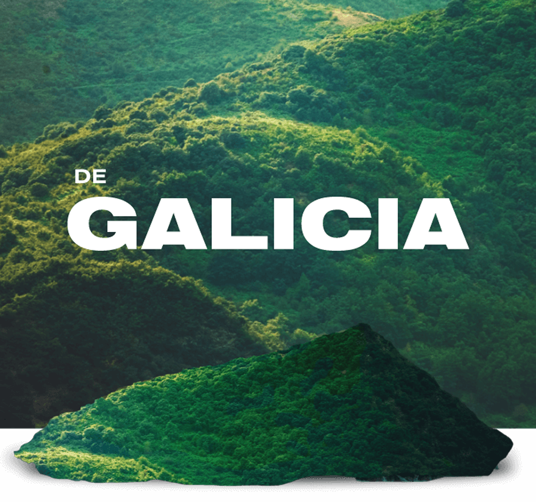 bosques de galicia