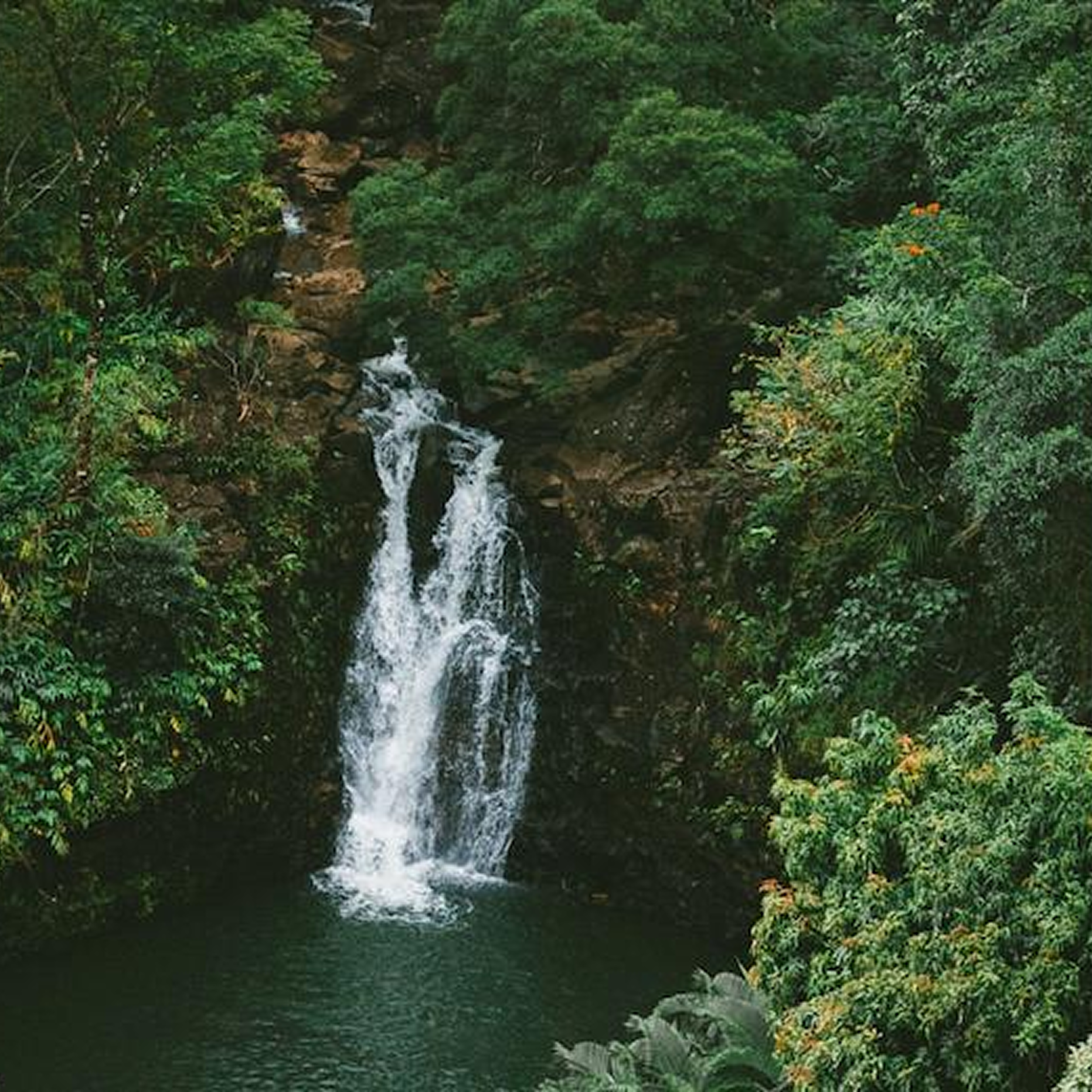 Manantial De Galicia - Cabreiroá
