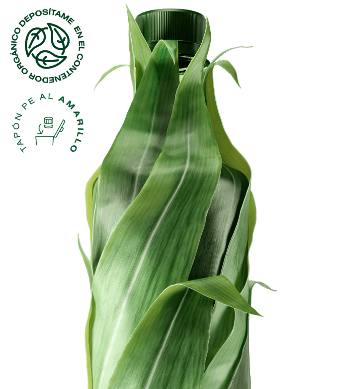 Botella vegetal